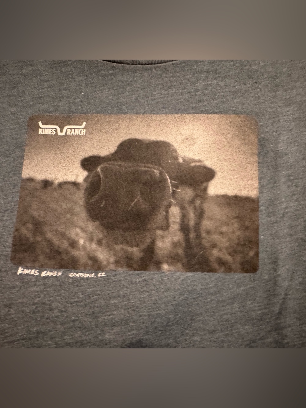 Kimes Ranch women’s Heather Blue Gray Short Sleeve Tee with Cow Photo Graphic